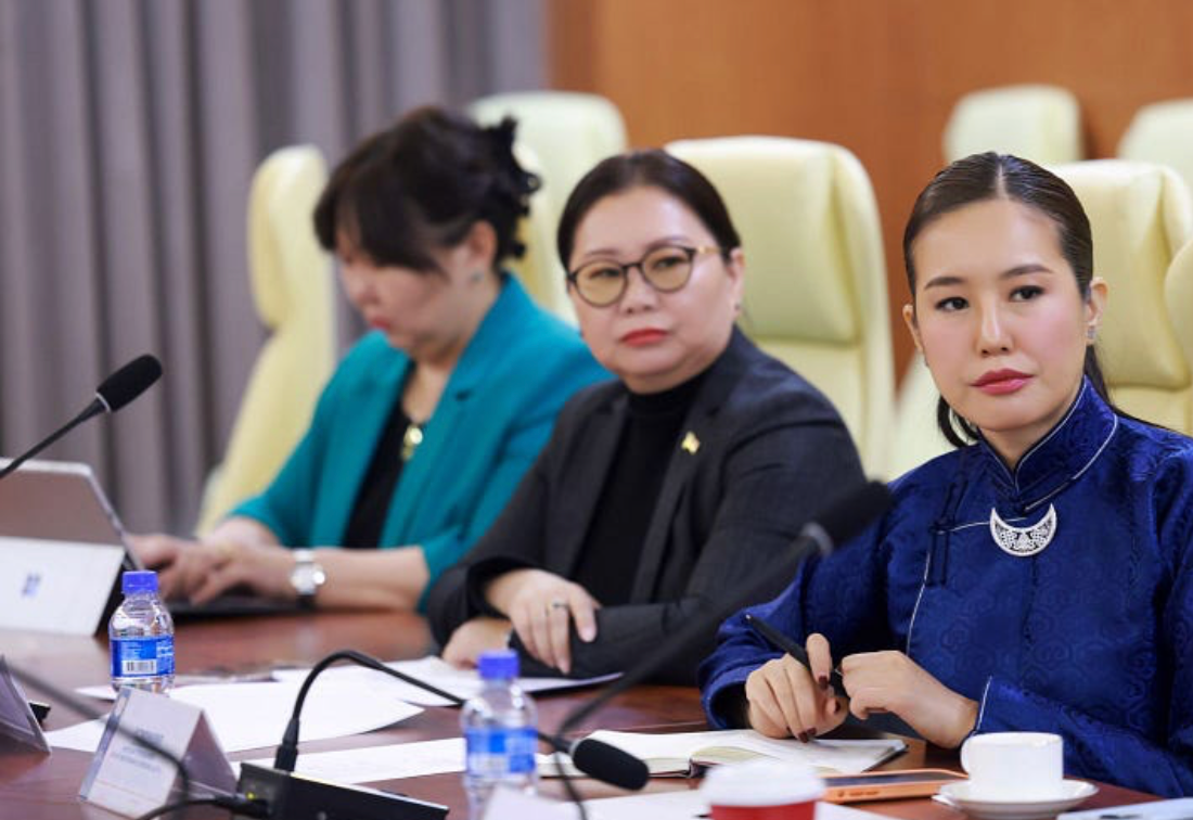 НИТХ-ын хүний хөгжлийн хороо жендэрийн үндэсний хороотой хамтран эрчүүдийн асуудлыг онцгойлон хэлэлцэв